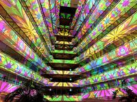 プロジェクションマッピングショーの画像