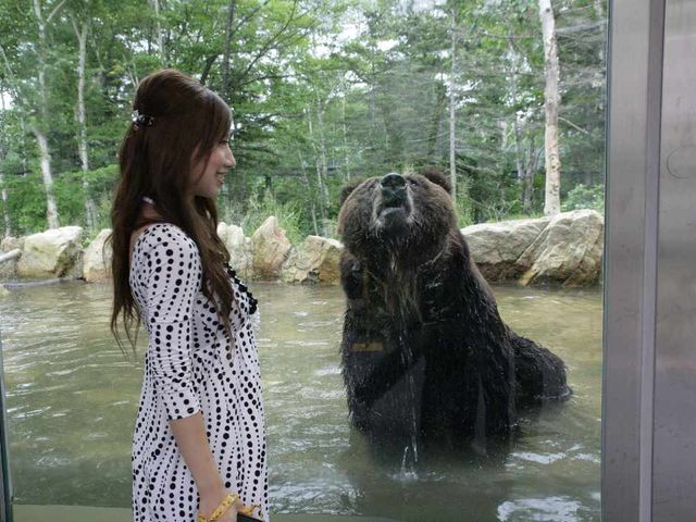 十勝サホロリゾートイメージ
