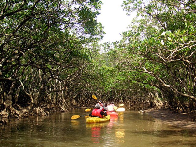 11月の奄美大島ツアーは…イメージ