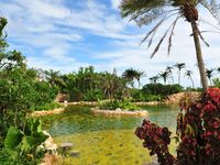 シギラ温泉 奇跡の湯の画像