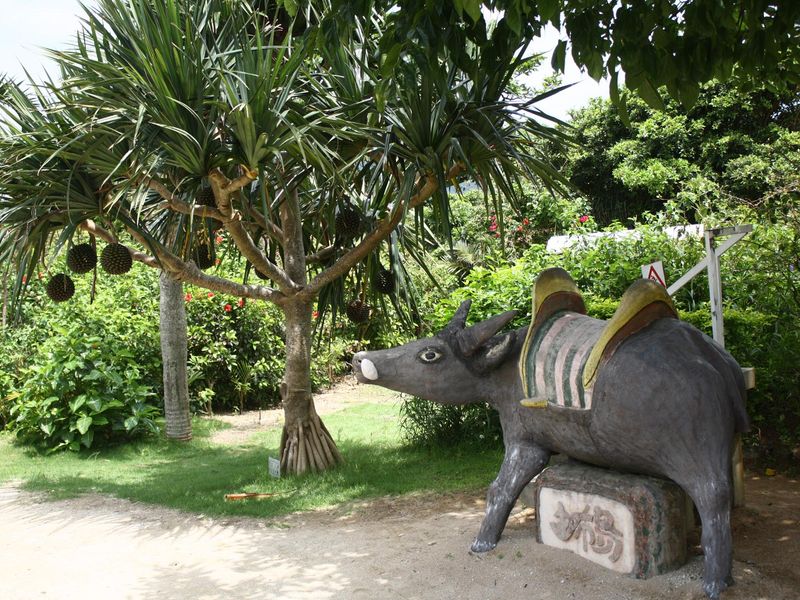 由布島亜熱帯植物園