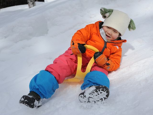 雪原を走る、犬と滑る、そりで遊ぶイメージ