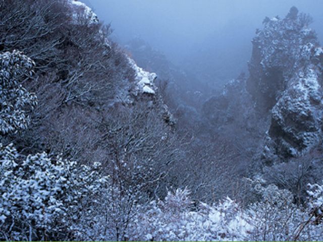 寒霞渓の魅力④<br />
冬の銀世界イメージ