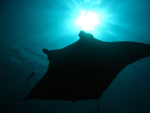 ポイントリクエストについてイメージ