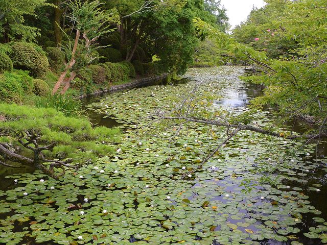 道後公園イメージ