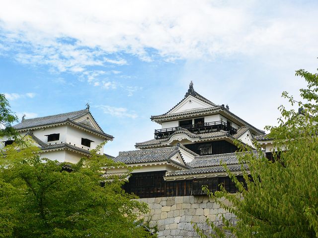 松山城イメージ