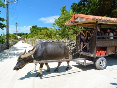 竹富島観光のおすすめスポット！ 観光マップや見どころを紹介イメージ