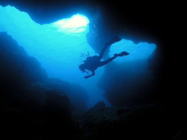 Wアーチイメージ