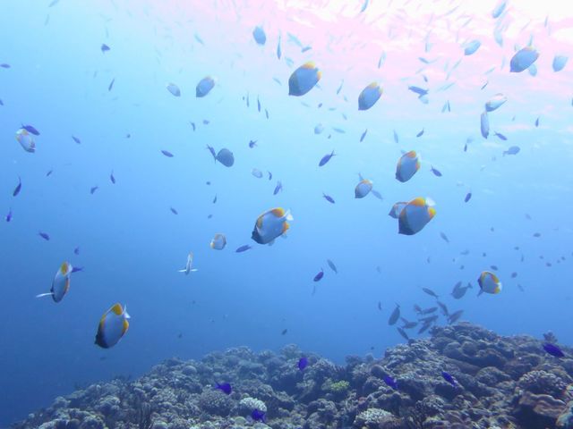 まだまだ見逃せない!イメージ