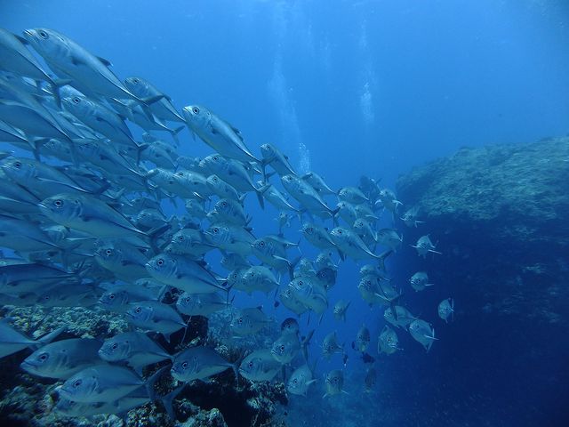 イマズニってどんなポイント？イメージ