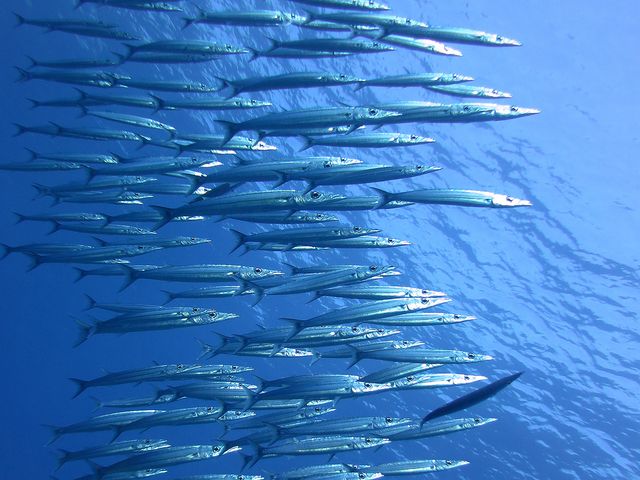 イマズニってどこにあるの？イメージ