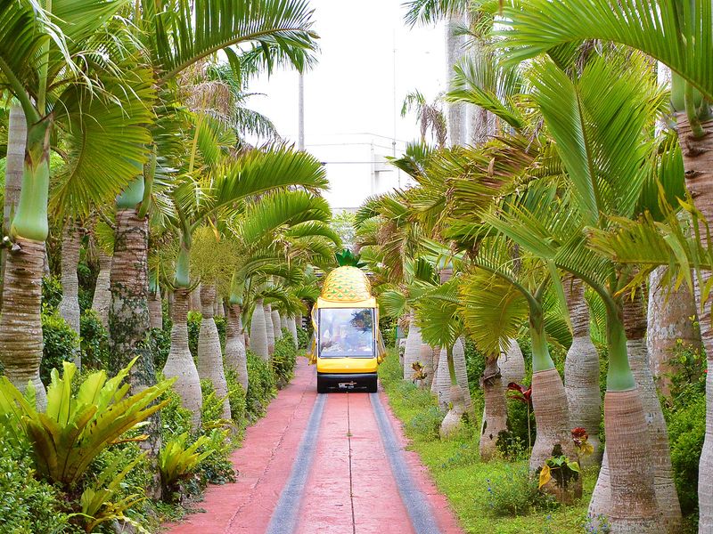 ナゴパイナップルパーク・自動運転カートと植物園