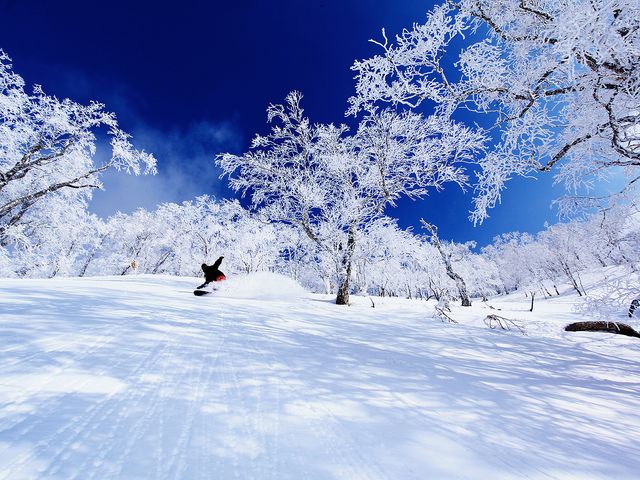 ホテル前からリフトが運行イメージ