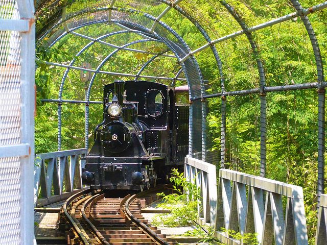 ネオパークオキナワイメージ