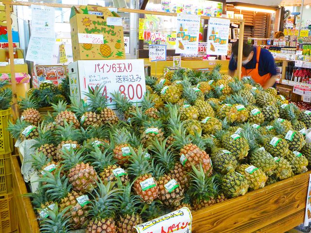 道の駅許田やんばる物産センターイメージ