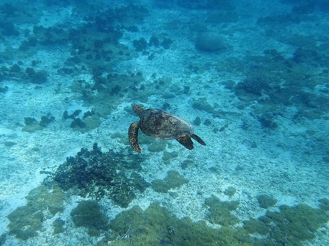 道中も楽しい百合ヶ浜おすすめポイントイメージ