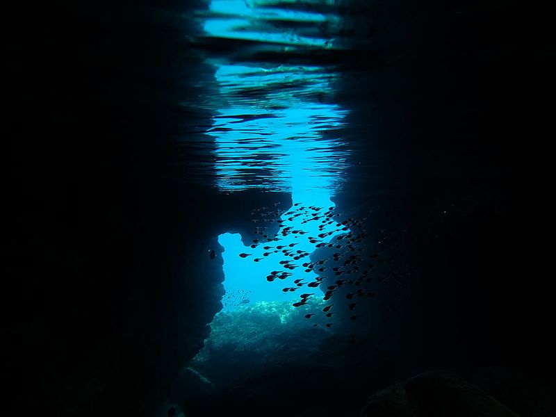 サシバ沖