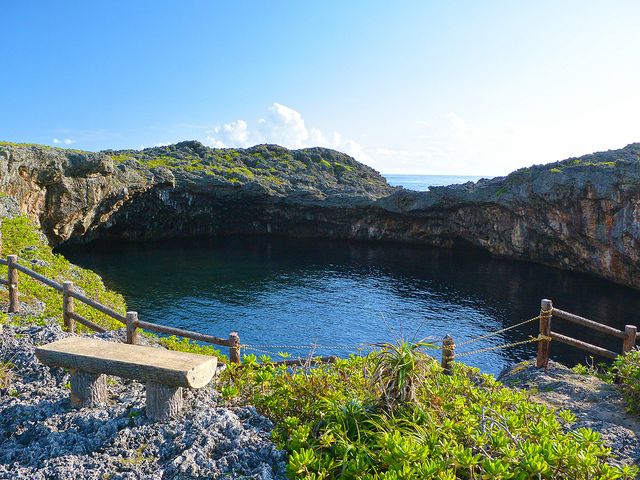 通り池イメージ