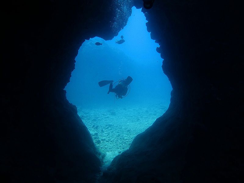 中の島ホール