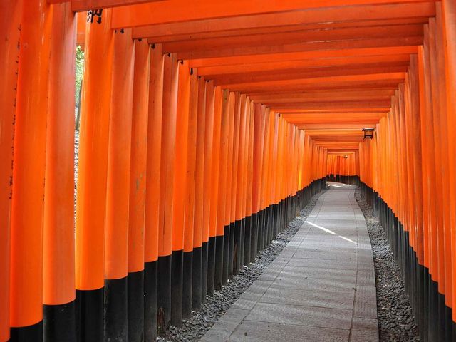 9月の見どころは･･･イメージ