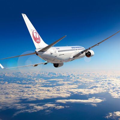 直行便で行く!屋久島ツアーイメージ