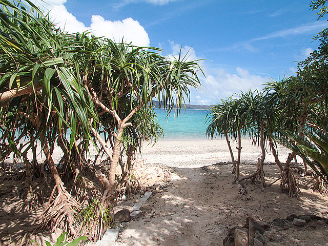 ネイティブシー奄美 アダンオンザビーチ - 宿泊予約・飛行機付き予約