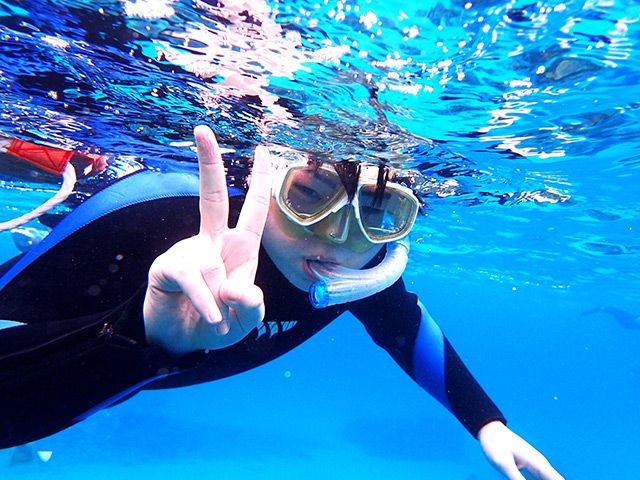 GWの奄美大島ツアーは…イメージ