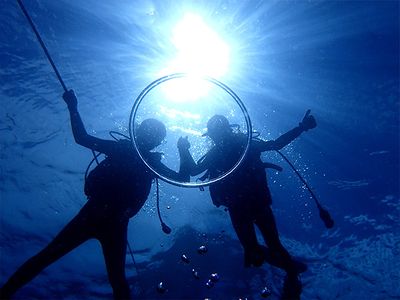 ダイビングツアーを予約イメージ