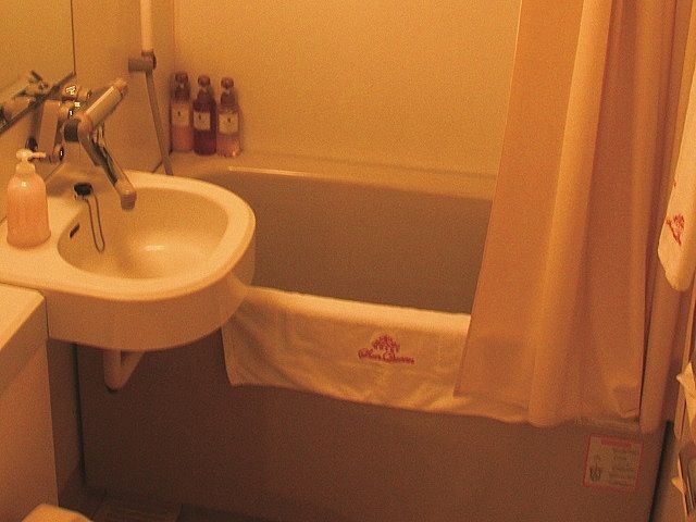 ホテルサン・クイーン 浴槽