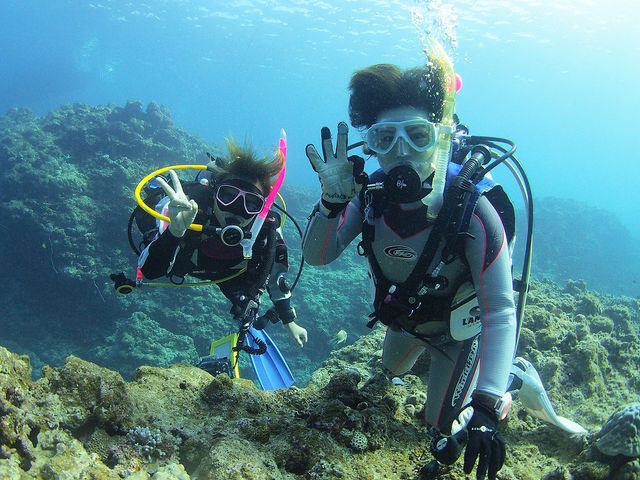 石垣島を中心に八重山諸島を潜る！イメージ