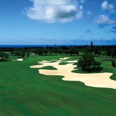 【沖縄】選べるゴルフ場　レンタカー付イメージ