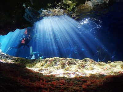 宮古島ダイビングショップ カピリナイメージ