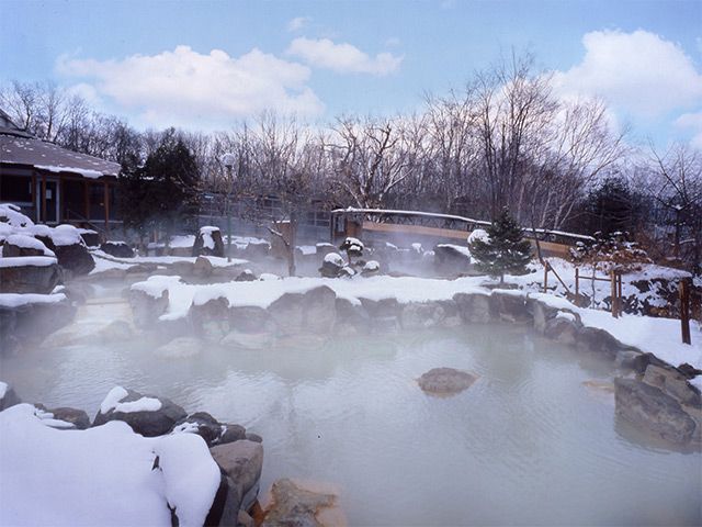 ニセコグランドホテル 庭園大露天風呂（冬）