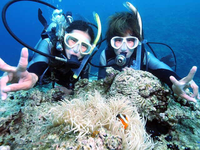 アークダイブイメージ