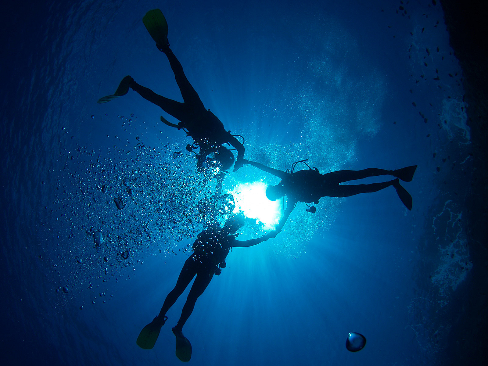 アークダイブ 東京発｜沖縄ダイビングツアー予約サイト【J-DIVE】