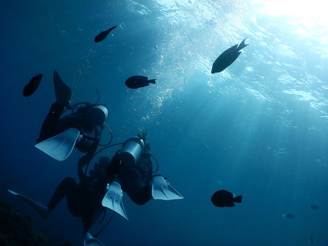 ダイビングスポット多数イメージ