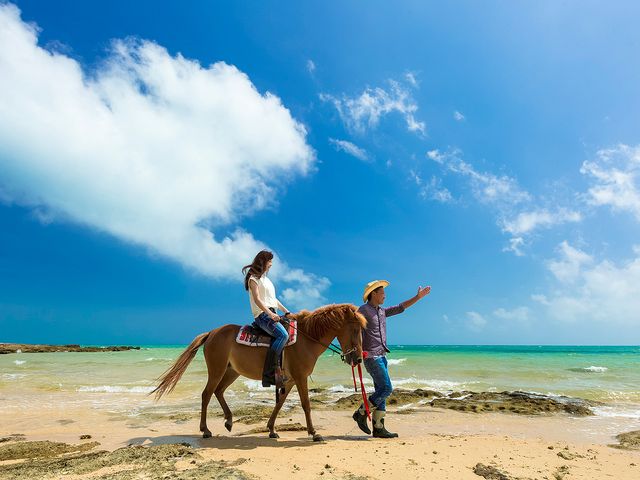 小浜島フリープラン 札幌発 沖縄旅行 沖縄ツアーなら格安旅行のj Trip