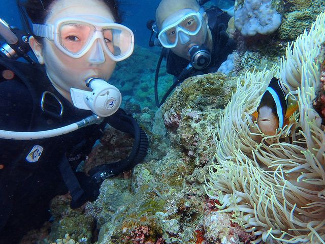 さうすぽいんとイメージ