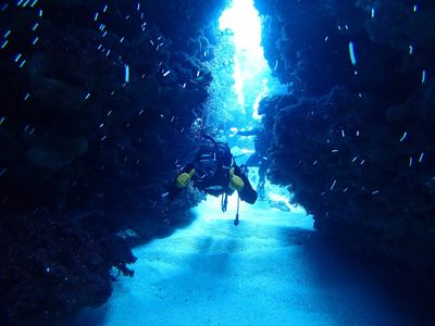 沖縄本島フリープラン - レンタカー付きイメージ