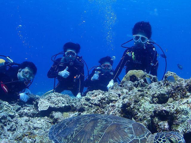 スキューバダイビングをしっかり楽しむ 東京発 沖縄ダイビングツアーならj Dive ジェイダイブ 沖縄本島 離島格安プランが充実