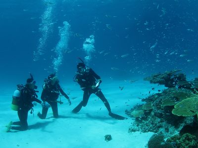 ぷしぃぬしまイメージ