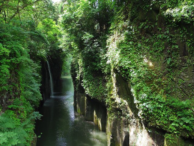 宮崎フリープランイメージ