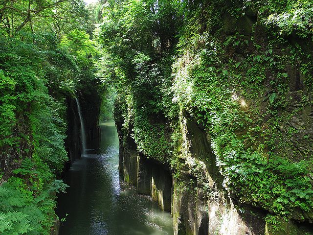 宮崎県フリープランイメージ