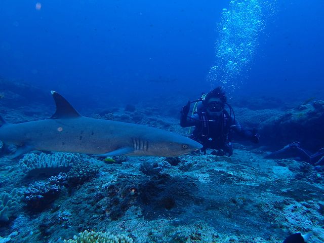 ベテラン向けショップイメージ