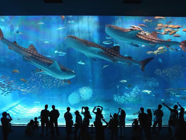 沖縄旅行1泊2日 名古屋発 沖縄旅行 沖縄ツアーなら格安旅行のj Trip