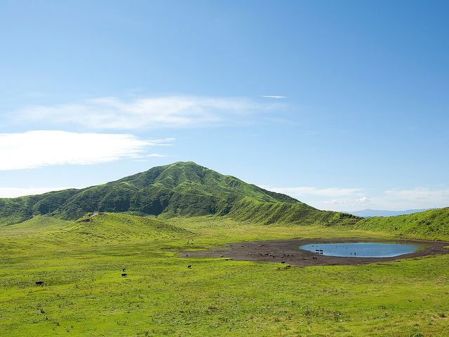 熊本フリープランイメージ