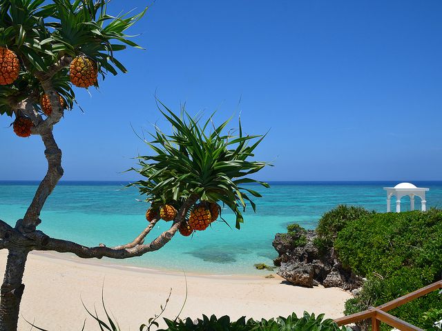 楽しさ満載の与論島ツアーイメージ