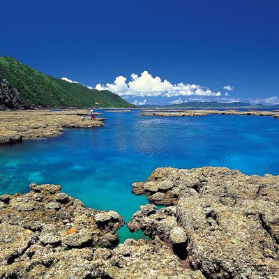 奄美大島イメージ