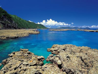 奄美大島イメージ