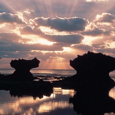 とにかく安くいきたい！2月 屋久島ツアー・奄美大島ツアーイメージ